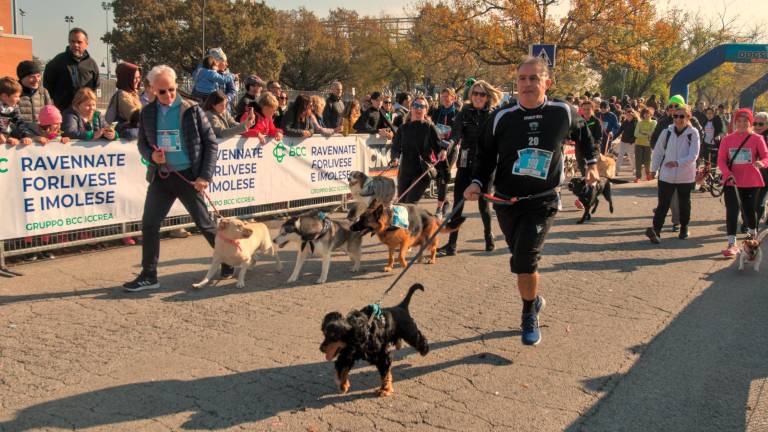Ravenna. Dogs &amp; Run, la “corsa a 6 zampe”. FOTOGALLERY
