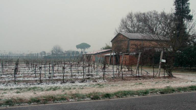 Ravenna. La neve imbianca la campagna. FOTOGALLERY FIORENTINI