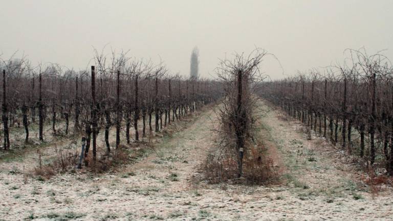Ravenna. La neve imbianca la campagna. FOTOGALLERY FIORENTINI