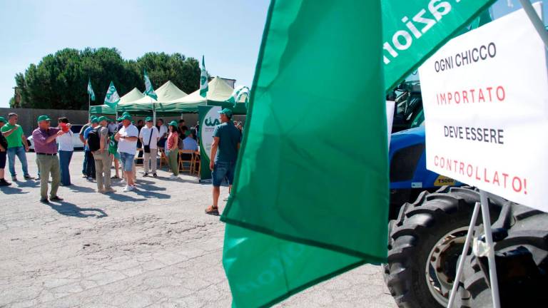 Ravenna, prezzi del grano in picchiata: flash mob dei produttori al porto - Gallery