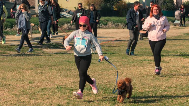 Ravenna. Dogs &amp; Run, la “corsa a 6 zampe”. FOTOGALLERY