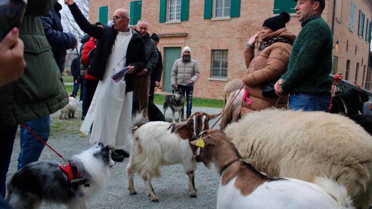 San Mauro, benedizione animali: la Torre pascoliana diventa uno zoo per qualche ora