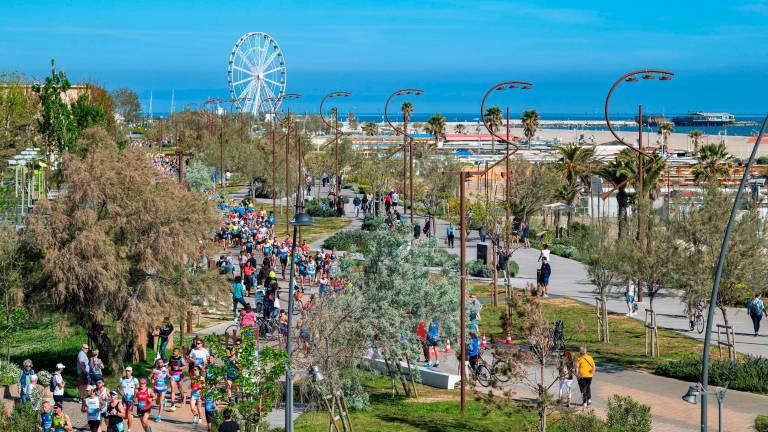 Rimini Marathon 2026: percorso, viabilità, tutto quello che c’è da sapere