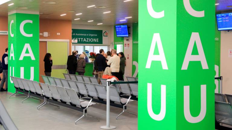 I Cau in Emilia-Romagna continueranno anche nel 2026: “Hanno dato risultati positivi”