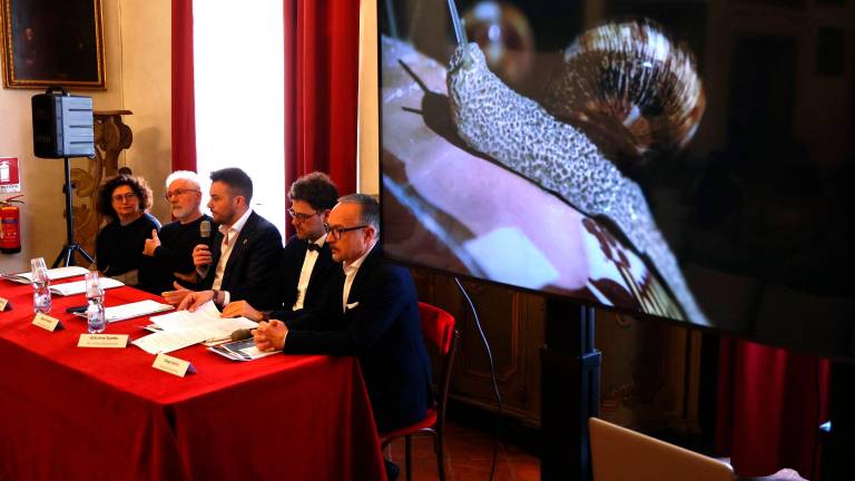 Imola, entro l’anno nascerà il nuovo museo Bertozzi &amp; Casoni a Palazzo Tozzoni VIDEO