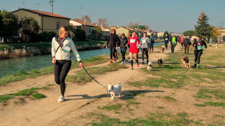 Ravenna. Dogs &amp; Run, la “corsa a 6 zampe”. FOTOGALLERY
