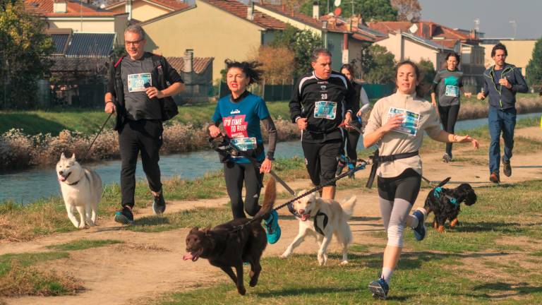Ravenna. Dogs &amp; Run, la “corsa a 6 zampe”. FOTOGALLERY