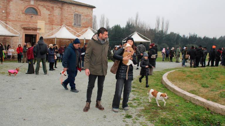 San Mauro, benedizione animali: la Torre pascoliana diventa uno zoo per qualche ora