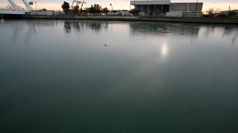 Notte al gelo in Romagna, a Ravenna uno strato di ghiaccio sul canale Candiano - Gallery