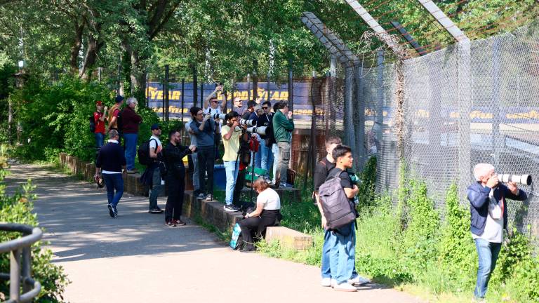 Imola, al Wec il popolo delle corse riempie centro e circuito - Gallery FOTO MMPH