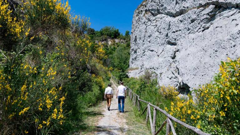 Turismo, tutti pazzi per Brisighella: “Nel 2025 i pernottamenti cresciuti del 49,5%”