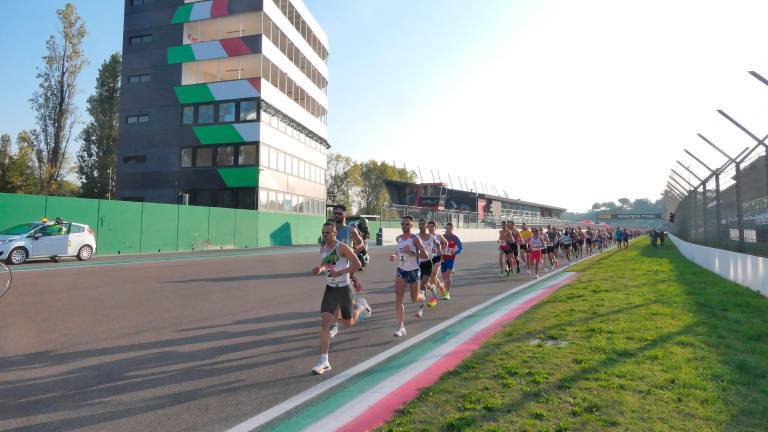 Imola, cavalli in fuga verso la corsa podistica bloccati in extremis dalla polizia locale con un capestro