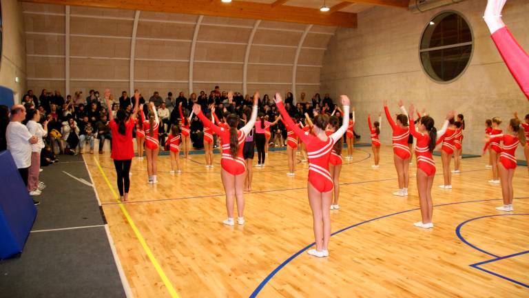 Ginnastica artistica, nuovo successo per i saggi di Natale dei Centri Olimpia Csi - Gallery