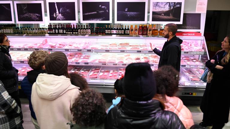 Forlì, progetto fotografico sul mondo notturno degli animali FOTOGALLERY