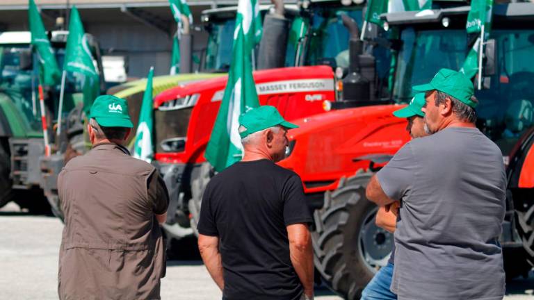 Ravenna, prezzi del grano in picchiata: flash mob dei produttori al porto - Gallery