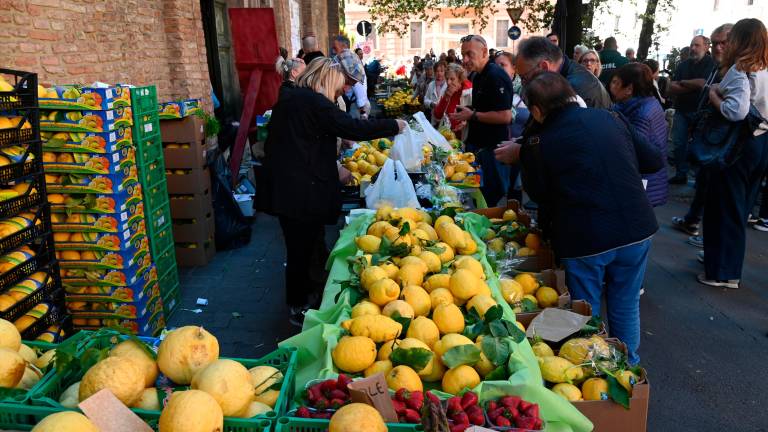 Forlì celebra il compatrono San Pellegrino FOTOGALLERY