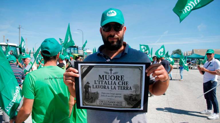 Ravenna, prezzi del grano in picchiata: flash mob dei produttori al porto - Gallery