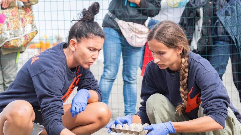 Punta Marina, nate 84 tartarughe su 98 uova deposte: il bilancio molto positivo di Cestha GALLERY
