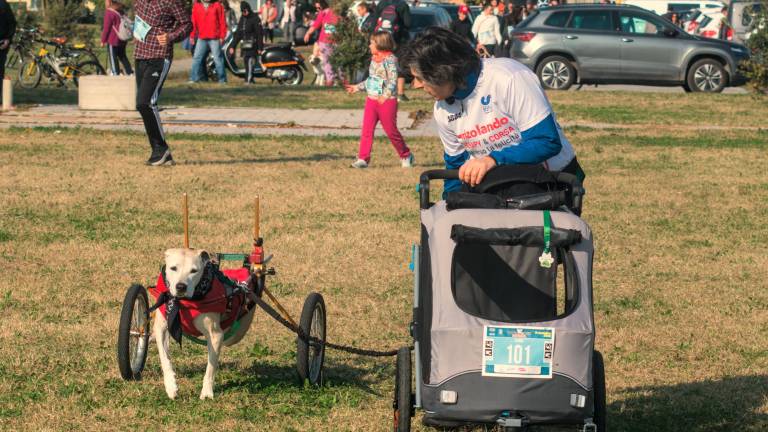 Ravenna. Dogs &amp; Run, la “corsa a 6 zampe”. FOTOGALLERY