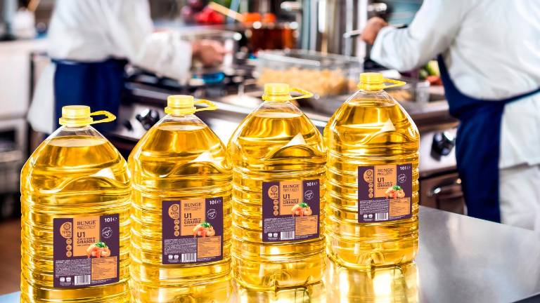 Ravenna, Bunge dona mille litri d’olio per “Pane in Piazza” a Milano: raccolta fondi per un panificio in Camerun