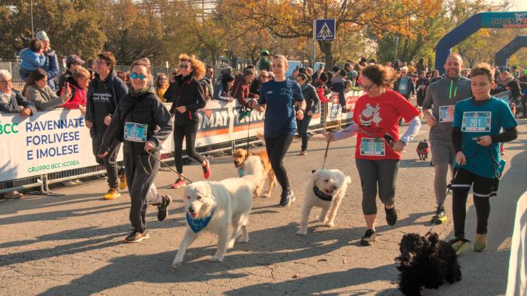 Ravenna. Dogs &amp; Run, la “corsa a 6 zampe”. FOTOGALLERY