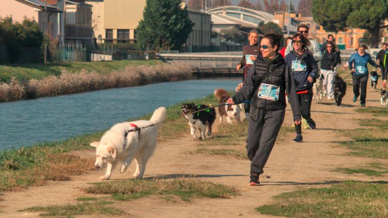 Ravenna. Dogs &amp; Run, la “corsa a 6 zampe”. FOTOGALLERY