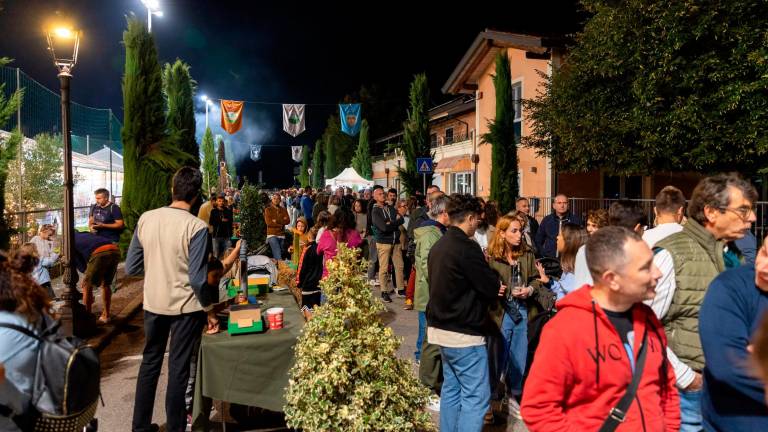 Il “Barrocci Festival” torna a Sant’Angelo di Gatteo. Tanti i super ospiti da Mogol a Bruzzone da Curreri a Ale e Franz