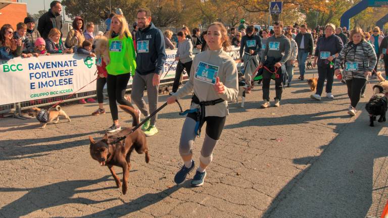 Ravenna. Dogs &amp; Run, la “corsa a 6 zampe”. FOTOGALLERY