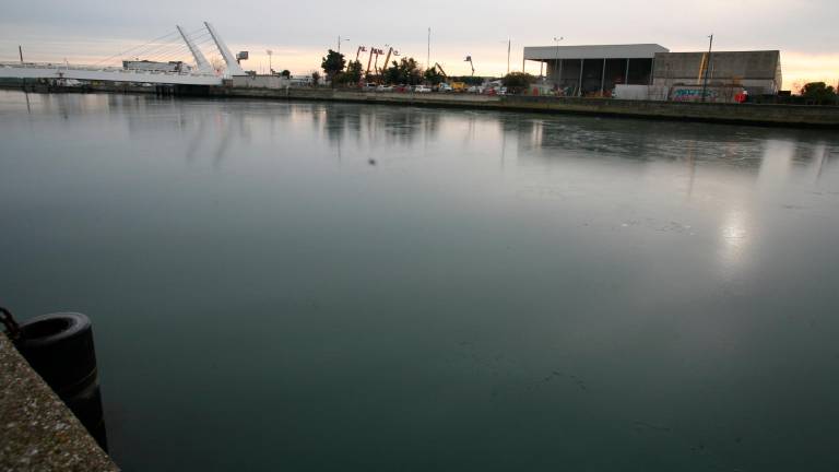 Notte al gelo in Romagna, a Ravenna uno strato di ghiaccio sul canale Candiano - Gallery