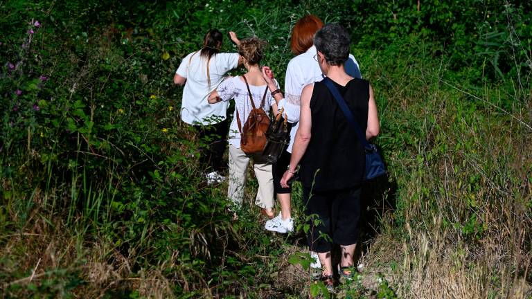 Forlì, il fiume Montone fa ancora paura FOTOGALLERY