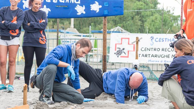 Punta Marina, nate 84 tartarughe su 98 uova deposte: il bilancio molto positivo di Cestha GALLERY