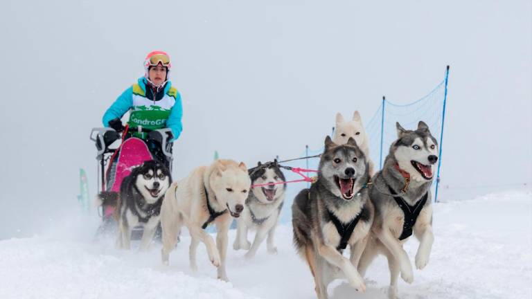 La forlivese Stefania Ramponi sulla slitta trainata dai suoi cani