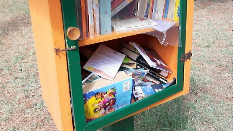 Vandali ai giardini di Serravalle a Cesena