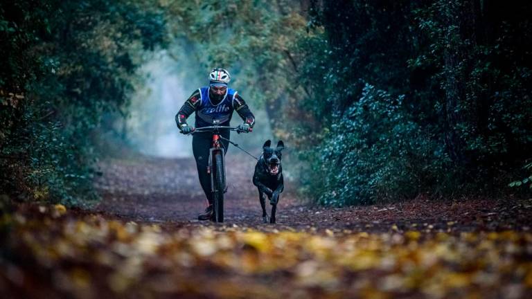 Cesenatico, Luca Pilato: “Con il canicross è stata una folgorazione, un legame unico tra cane e uomo”