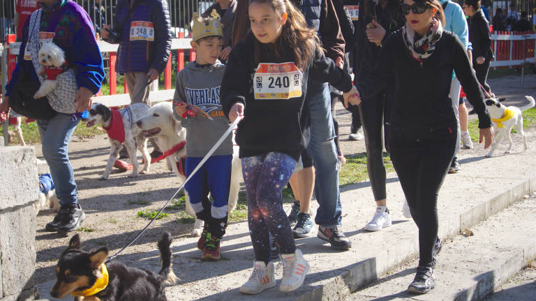 Maratona di Ravenna verso 18mila iscritti. In gara anche bimbi e cani