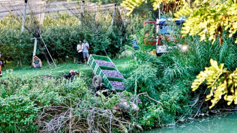 Faenza, muore schiacciato dal trattore