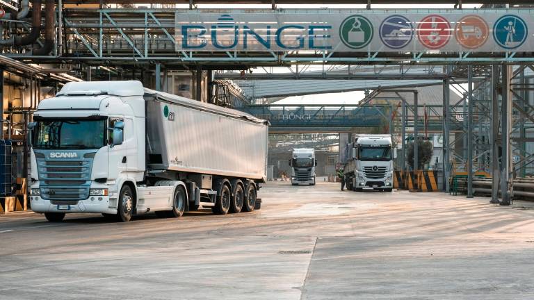 Porto Corsini, Bunge investe 4,4 milioni sulla soia
