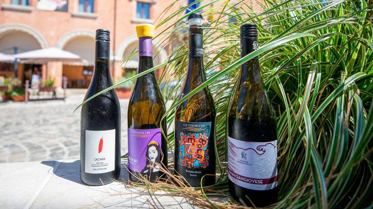 Verucchio Calici, due giorni con 26 cantine: vini, street food, musica, magia e giocoleria