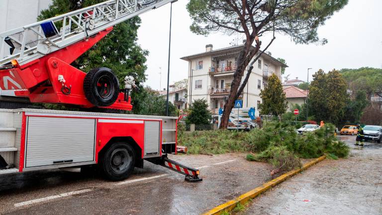 Ravenna, tanti alberi caduti, interrotta anche la linea ferroviaria per Bologna GALLERY