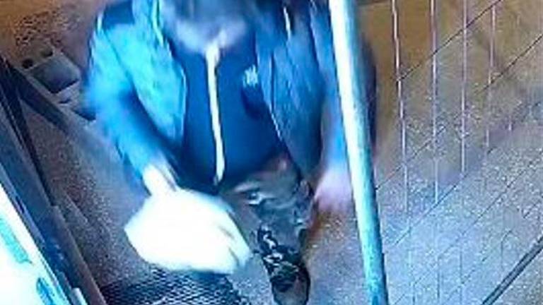 La persona che ha combinato il guai ripresa dalle telecamere