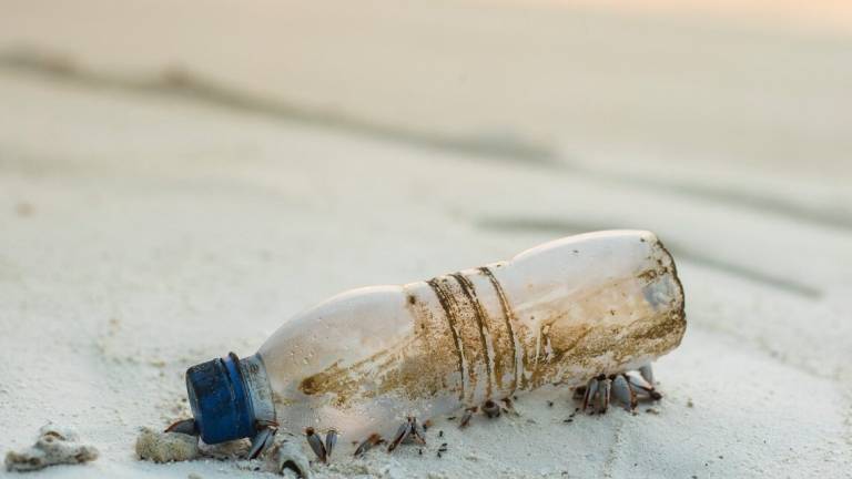 Misano, un progetto da 60mila euro per ridurre i rifiuti in spiaggia