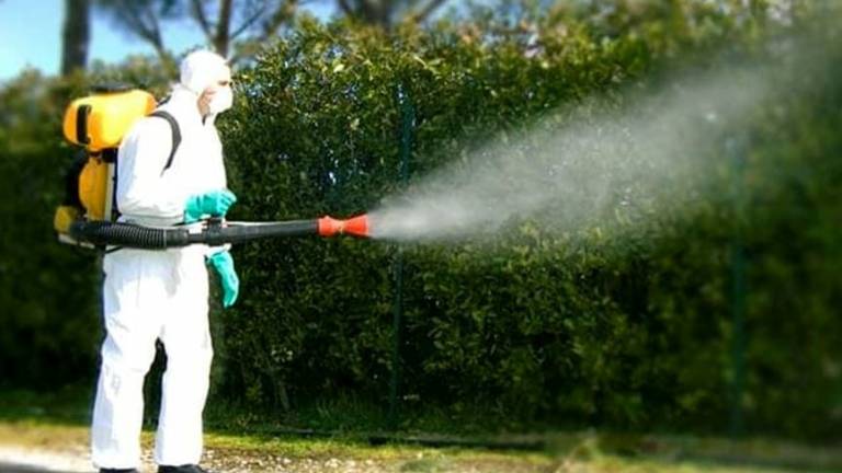 Caso di Dengue: disinfestazione per tre notti a Gatteo