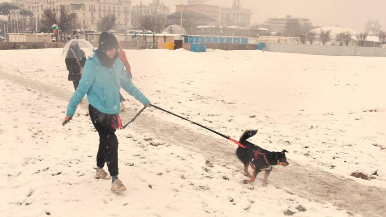 Rimini sotto la neve, la spiaggia è un parco giochi FOTOGALLERY Migliorini