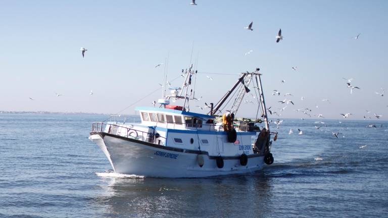 Caro gasolio, a Rimini si riducono le uscite dei pescherecci