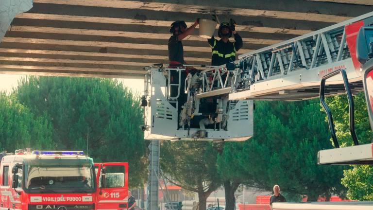 Ravenna. Calcinacci dal ponte sulla via Faentina, chiusa la strada. FOTOGALLERY FIORENTINI