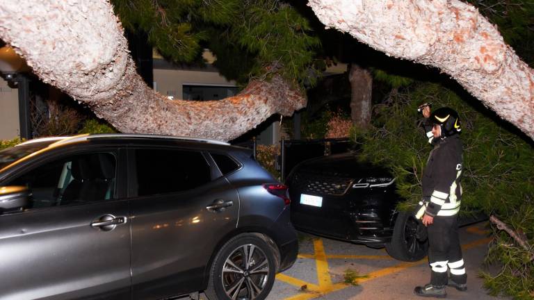 Romagna devastata dalle raffiche di vento: alberi crollati su case, auto e strade. Feriti a San Marino. Famiglie senza luce. Il fiume Montone oltre la soglia rossa