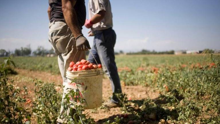 Rimini. Destinati a un hotel riminese, tre lavoratori finiscono schiavizzati nei campi in Sicilia dopo avere pagato 10mila euro a testa