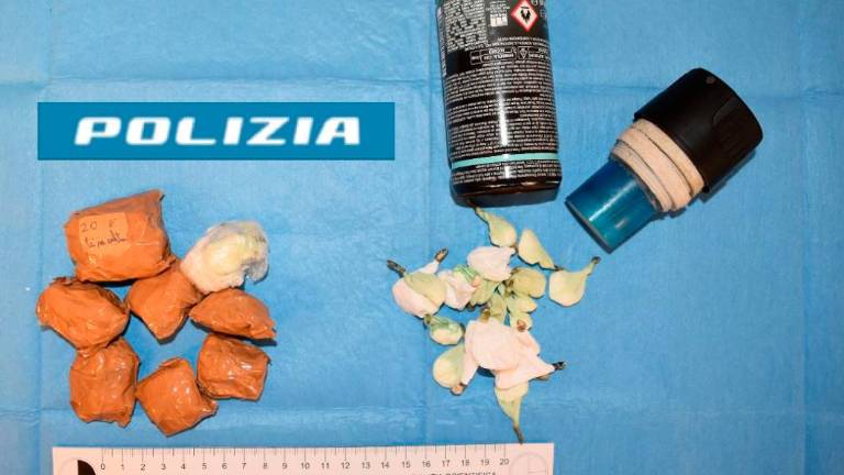 Cesena, nascondiglio a cielo aperto di cocaina, arrestato spacciatore