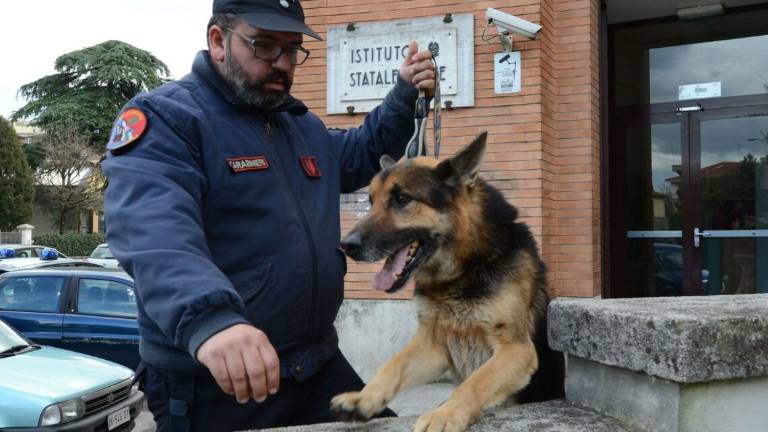 A Cesena nuovi strumenti contro lo spaccio a scuola