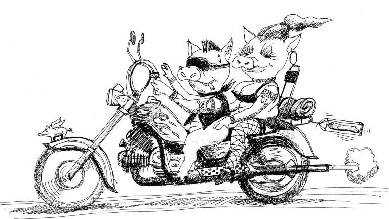 La vignetta della moto porchettata